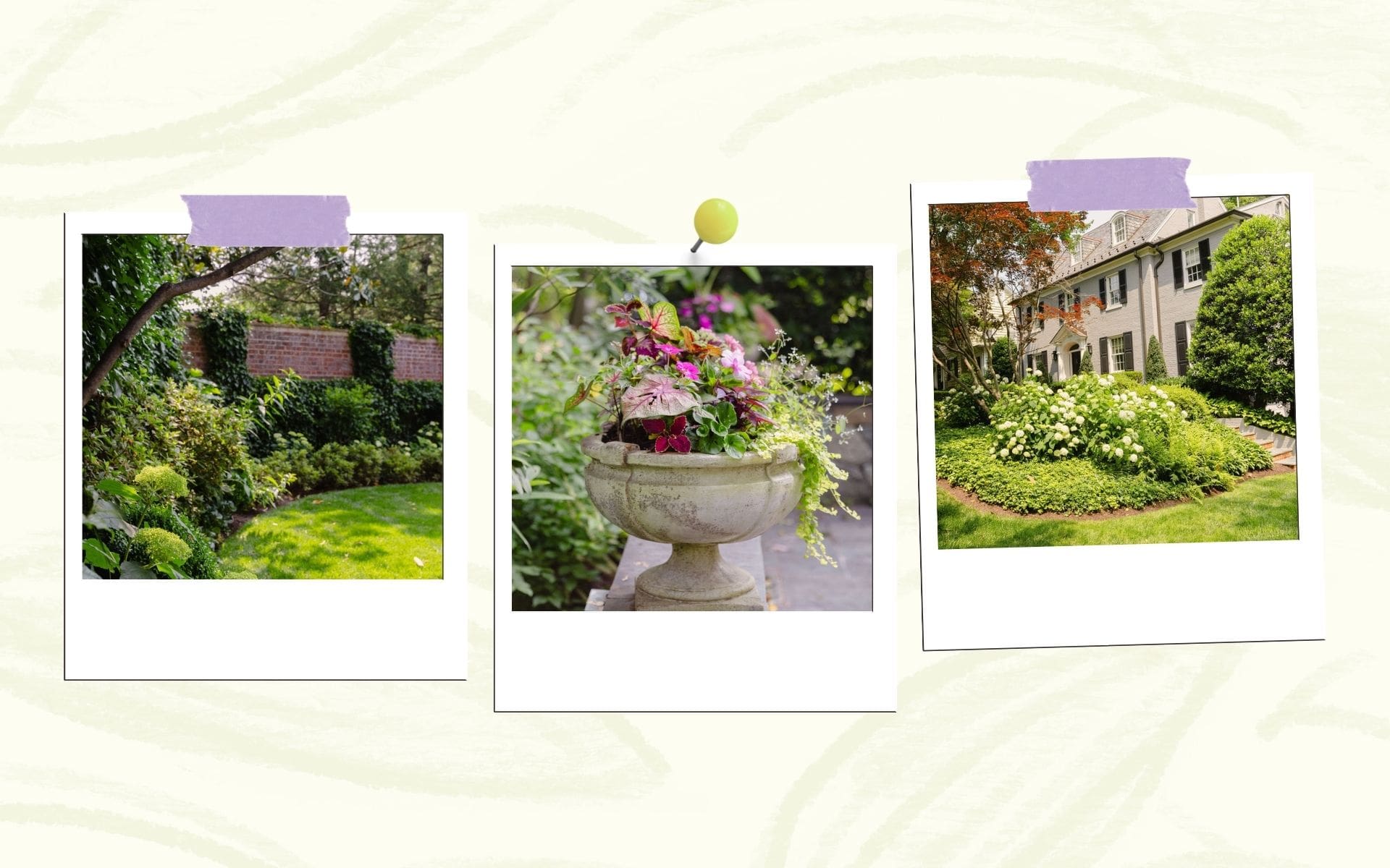 Collage of whimsical landscape design inspiration