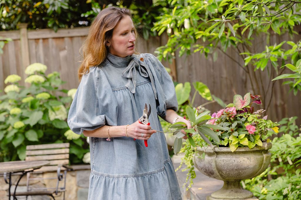 woman pruning plants to prepare your garden after winter