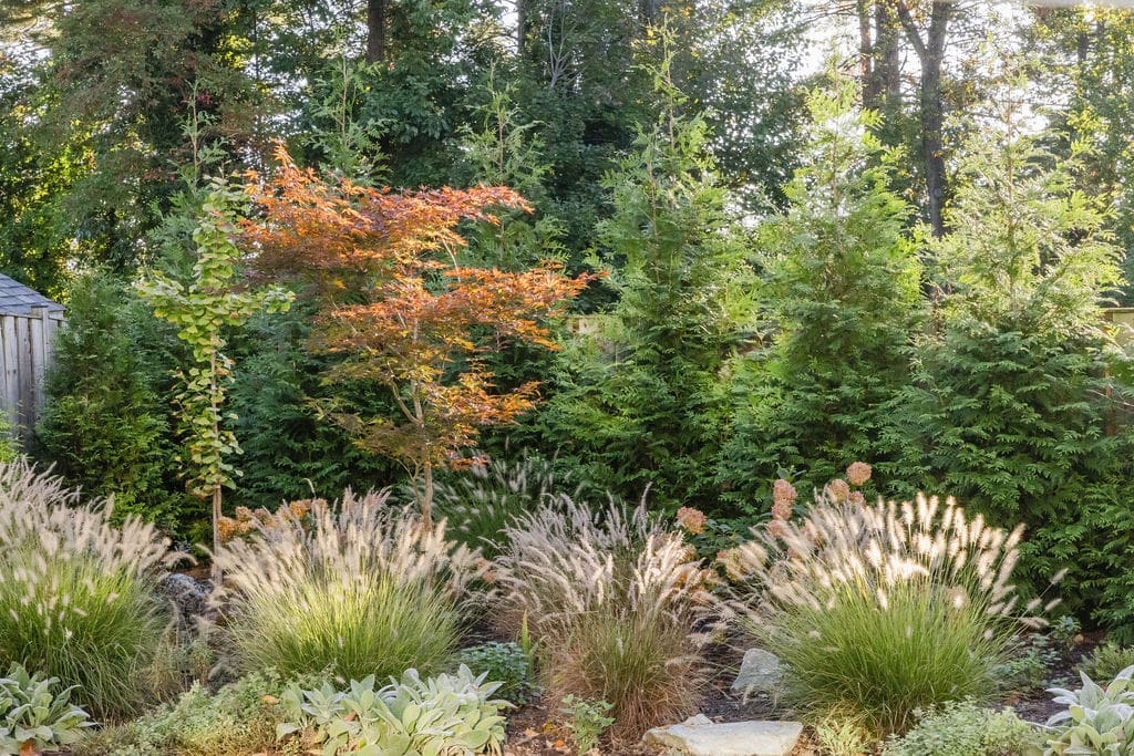 Small backyard fall design