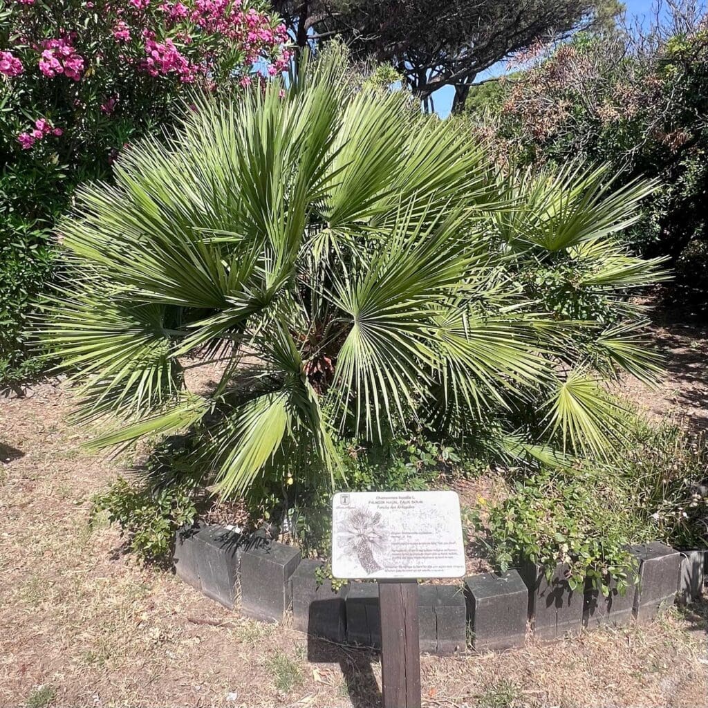 The Myrtle Botanical Garden