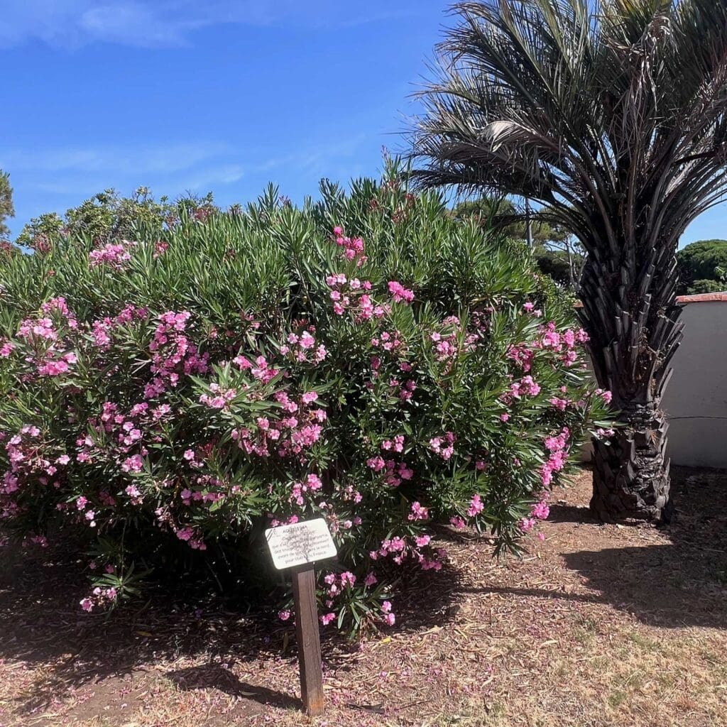 The Myrtle Botanical Garden