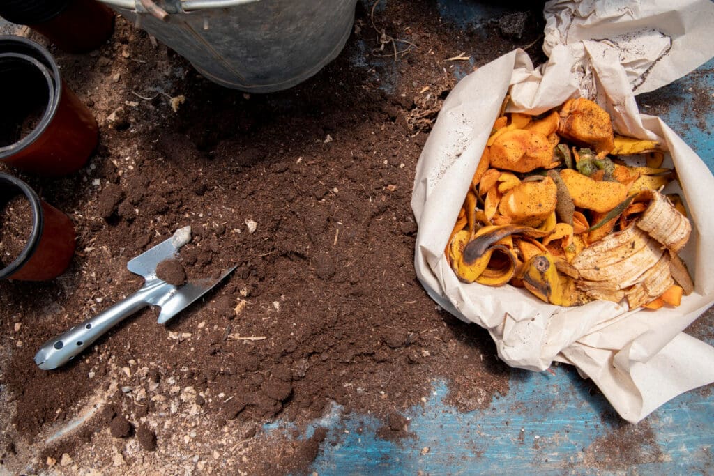 composting food scraps
